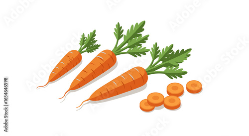 Fresh carrots with green tops and slices on a white background