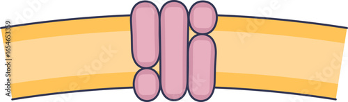 Illustration of a transmembrane protein, a drug receptor, embedded in a cell membrane. This is the molecular target for drugs to initiate a cellular response.