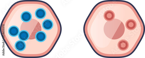 A diagram illustrating electrolyte imbalance effects on cells. It shows a swollen cell in a hypotonic state and a shrunken cell in a hypertonic state, representing osmotic pressure changes.