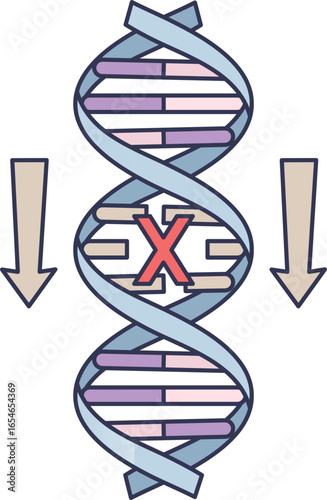 Illustration of a mutated DNA helix with a red X, symbolizing an inactive tumor suppressor gene. Arrows indicate loss of function, which can lead to uncontrolled cell growth and cancer.
