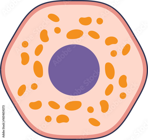 A diagram of a cell showing its nucleus and cytoplasm filled with inclusion bodies. Represents protein aggregates from viral infection or recombinant expression.