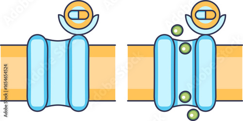 Diagram of a ligand-gated ion channel. A drug binds to a receptor, opening the channel in the cell membrane and allowing ions to flow, illustrating cellular transport and signaling.