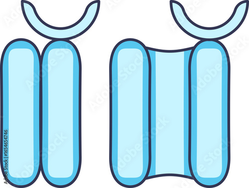 A diagram illustrating a ligand-gated ion channel's mechanism. It shows the receptor protein in both a closed state, blocking ion flow, and an open state, allowing passage through the membrane.