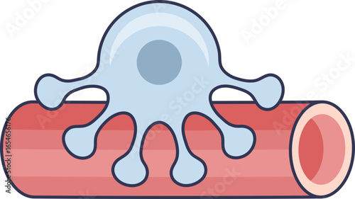 Illustration of a podocyte cell wrapping its foot processes around a glomerular capillary. This depicts the crucial structure of the kidney's blood filtration barrier.