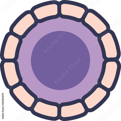 A diagram of a primordial follicle, the earliest stage of folliculogenesis. It shows a central primary oocyte surrounded by a single layer of flattened follicular (granulosa) cells.