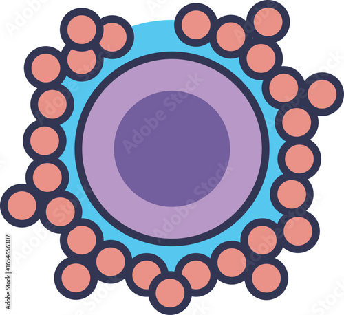 Stylized illustration of a human oocyte released during ovulation. Shows the egg cell surrounded by the corona radiata, representing female fertility and the start of fertilization.