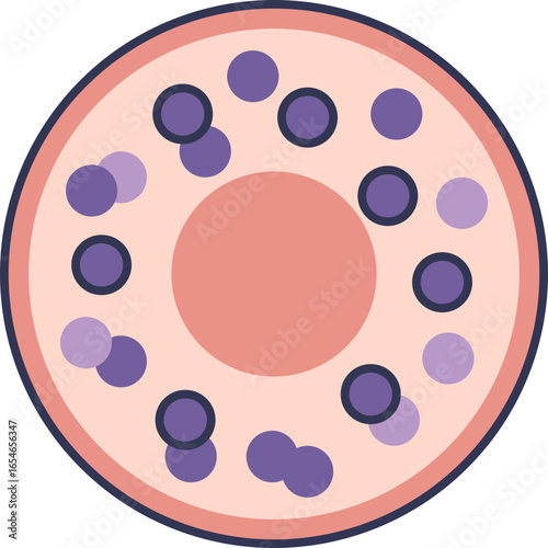 A vector illustration of a resting mast cell. This immune cell contains a nucleus and many granules filled with histamine, shown in its inactive state before degranulation.