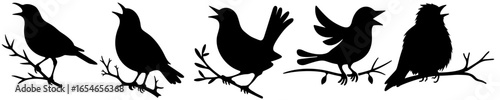 Five Singing Blackbird Silhouettes on Branches