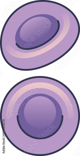 Vector illustration of two purple reticulocytes. These immature red blood cells are key indicators in hematology for assessing bone marrow function and diagnosing anemia.