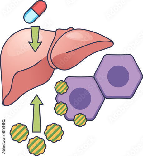 A diagram illustrating a statin pill's effect on the liver. The drug prompts the liver to absorb cholesterol molecules from cells, demonstrating how it lowers blood cholesterol levels.