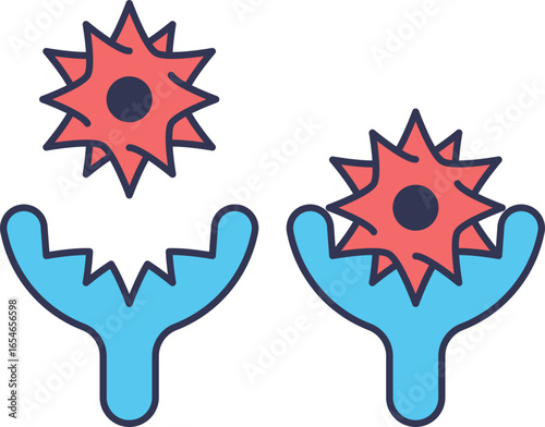 A diagram of a Toll-Like Receptor (TLR) binding a pathogen-associated molecular pattern (PAMP). This illustrates the mechanism of pathogen recognition which activates the innate immune response.