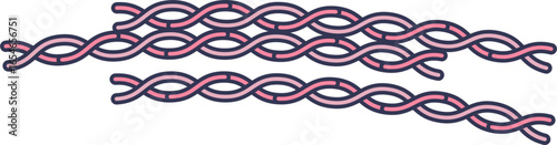 A diagram of actin filaments (F-actin), illustrating the double helical polymer structure. Represents a key protein component of the cytoskeleton and muscle fibers.