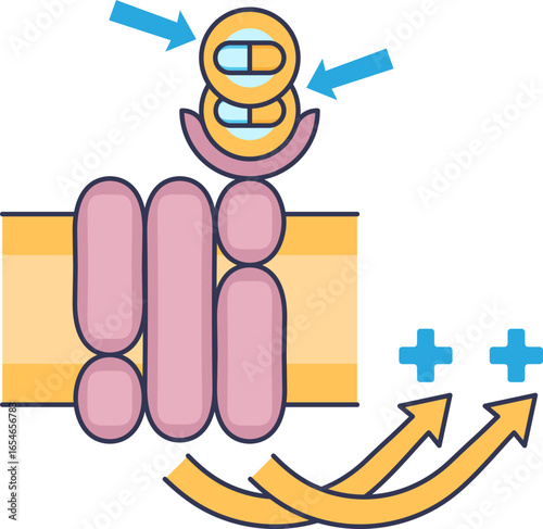 An illustration of an additive drug interaction. Two drug molecules bind to a cell receptor, producing a combined pharmacological effect equal to the sum of their individual effects.