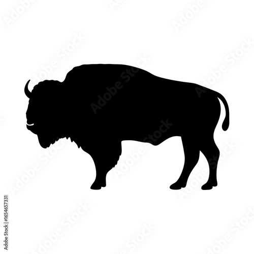 Silhouette of a Mighty American Bison Grazing on a White Background