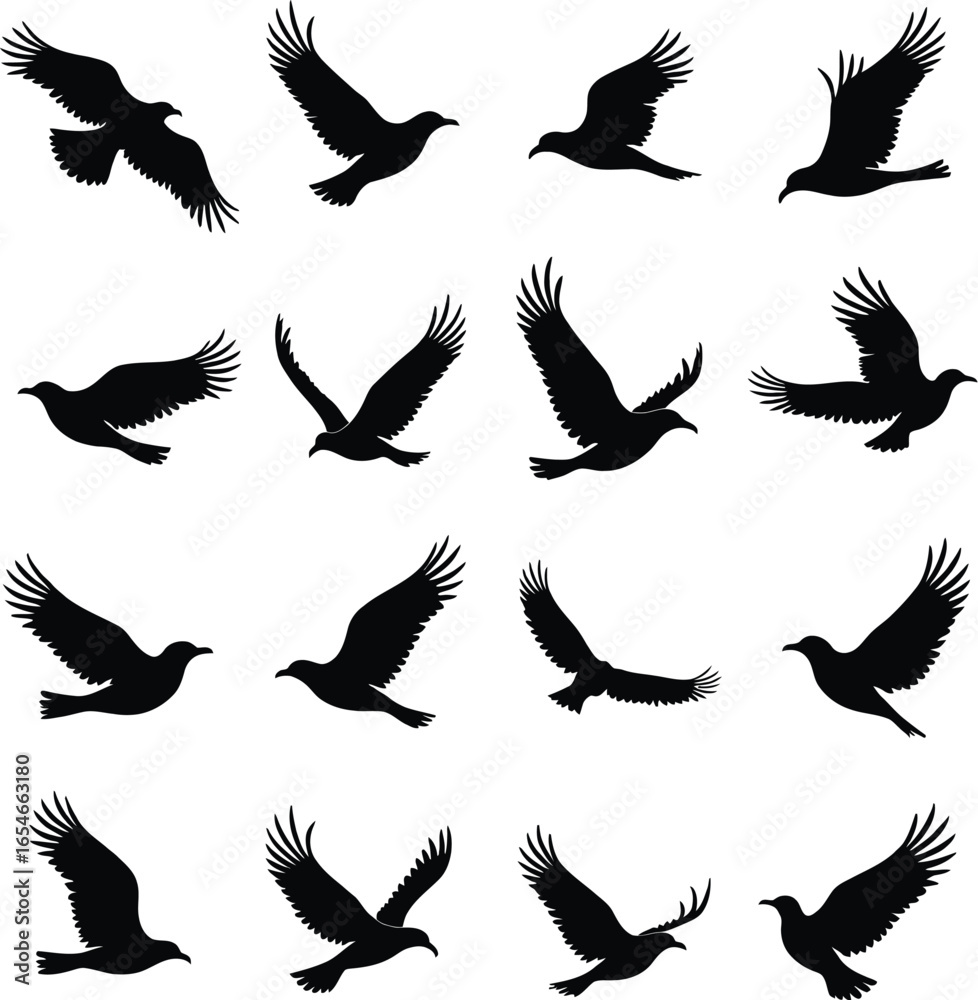 Obraz premium Twelve bird silhouettes in flight diverse poses