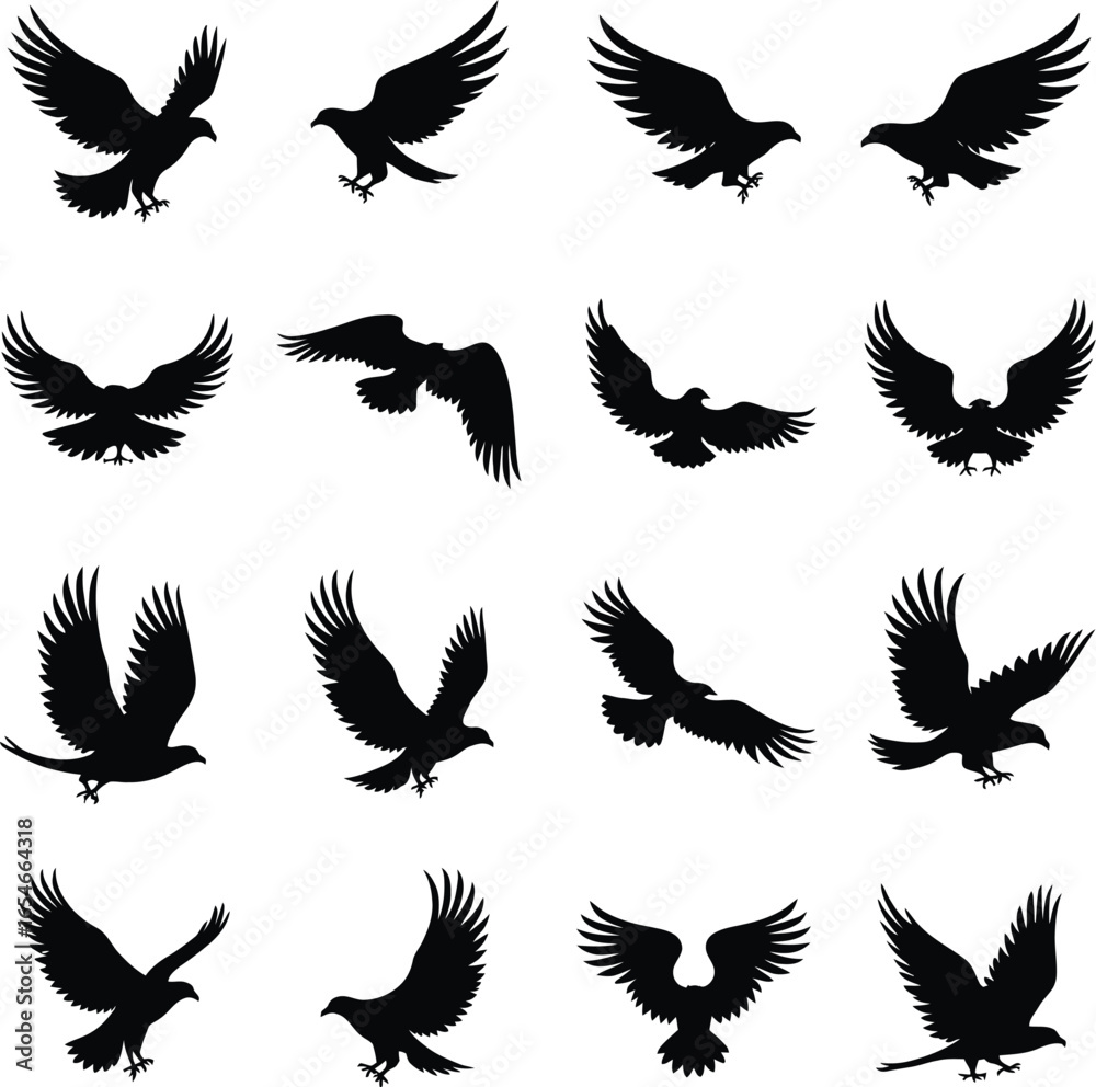 Obraz premium Twelve eagle silhouettes soaring flight birds of prey