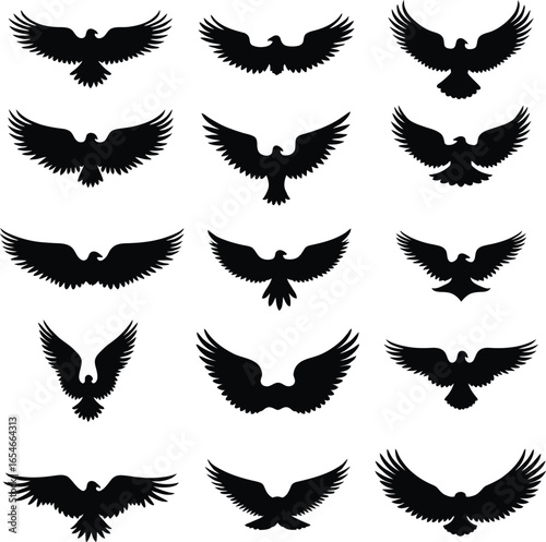 Majestic eagle silhouettes soaring wings collection