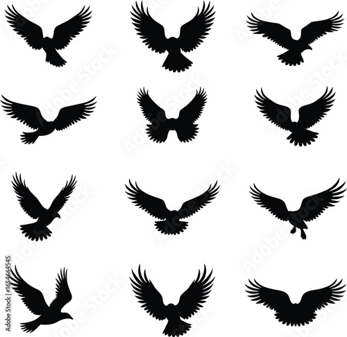 Twelve black bird silhouettes soaring in flight