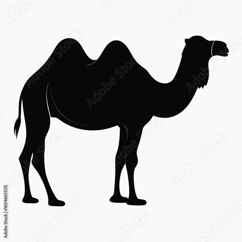 Black Camel Silhouette Vector Minimalist Desert Animal Icon Design