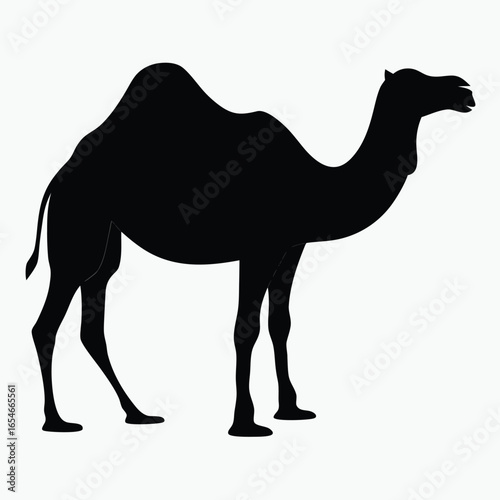 Black Camel Silhouette Vector Minimalist Desert Animal Icon Design