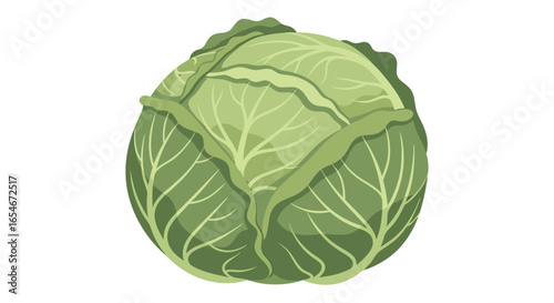 Fresh green cabbage head with detailed leaf structure perfect for culinary and health applications highlighting organic vegetables