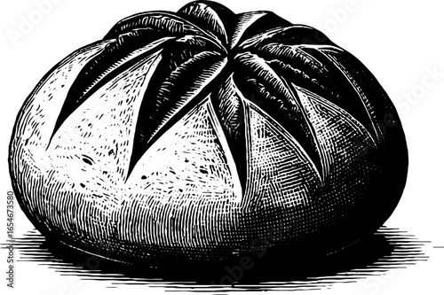 Engraved illustration of rustic round loaf of bread for culinary design and vintage labeling