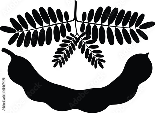 Tamarind pod silhouette, tamarind leaves vector, tropical fruit icon, herbal plant graphic, black illustration, edible legume, botanical element