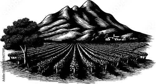 Vintage engraving of vineyard hill with rolling landscape and mountain scenery