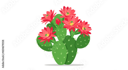 Vibrant cactus plant with bright red flowers blooming atop green oval pads showcasing desert flora contrasting against a clean white background