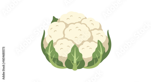Illustration of a Cauliflower Head with Green Leaves in a Simple, Minimalist Style Emphasizing Freshness and Natural Vegetables for Healthy Eating