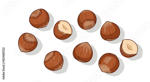 Illustration of Hazelnuts with a mix of shelled and unshelled nuts arranged in a visually appealing pattern showcasing their natural textures and