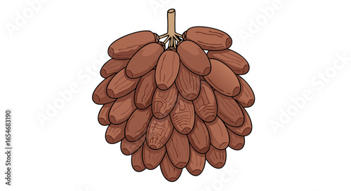 Illustration of a cluster of pinecones with detailed textures and natural brown hues suitable for nature-themed projects and botanical references