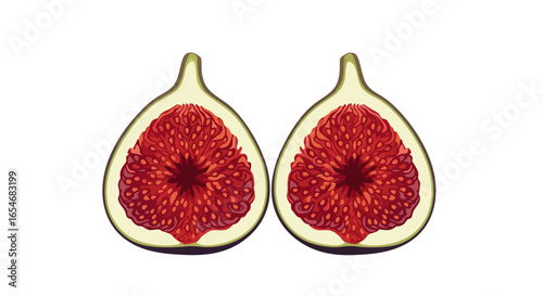 Symmetrical Cross-Section of a Fiddle Leaf Fig Showing Inner Structure and Seed Details in Minimalist Style