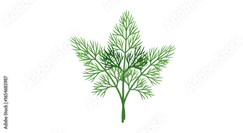 Intricate green fern leaf with fine needle-like fronds branching out symmetrically showcasing detailed botanical structure perfect for nature themed