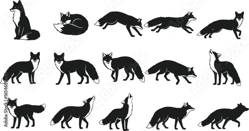 Black and white fox silhouette collection, multiple poses, wildlife animal illustration, nature themed design, vector art, graphic drawing, mammal artwork