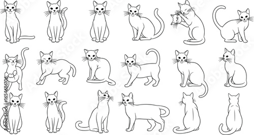 Cat, silhouette, cartoon, playful, sitting, standing, walking, grooming, stretching, jumping, yawning, sleeping, tail, curled, straight, toy, yarn, mouse, cute, pet