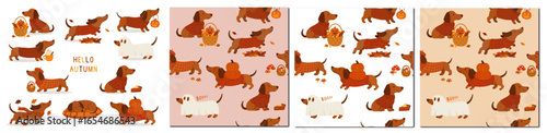 FULL SET OF  DACHSUND  FALL SEASON  - CUTE DOG ILLUSTRATION AND PATTERN FOR INVITATIONS, GREETING CARD AND PRINTS