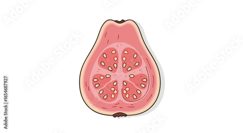 Cross-Sectional Illustration of a Pink and Purple Buddha Fruit with Seed Patterns and Textured Outer Skin for Nutritional and Botanical Illustration