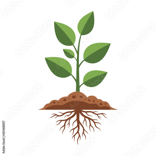 Green seedling with roots, representing growth, nature, and new beginnings