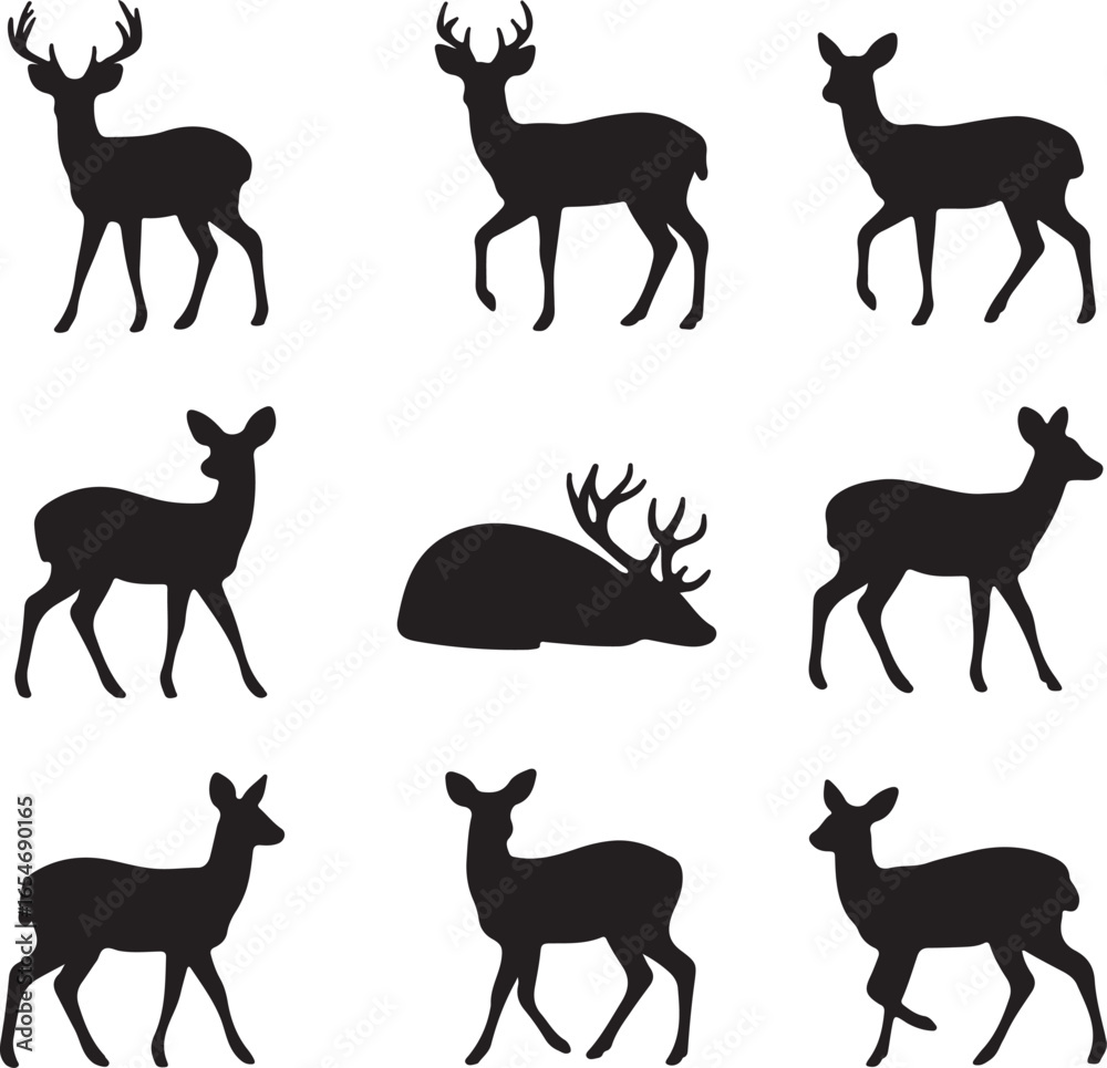 Obraz premium Deer silhouettes standing walking resting stag fawn