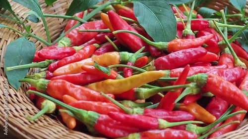 Fresh Bird's Eye Chilli 