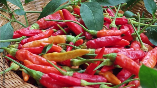 Fresh Bird's Eye Chilli 