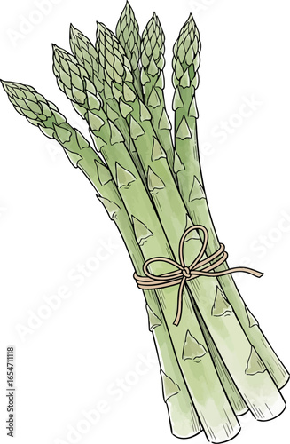 A Bunch of Asparagus Spears
