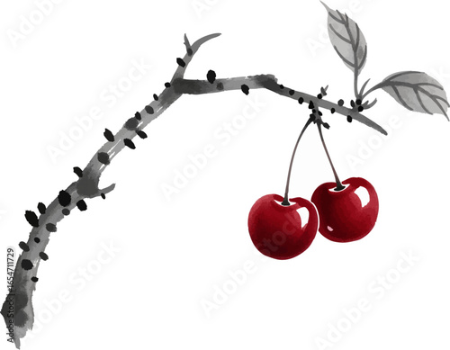 A Pair of Cherries on a Branch