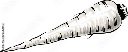 A Long, Pale Parsnip