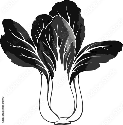 A Single Bok Choy