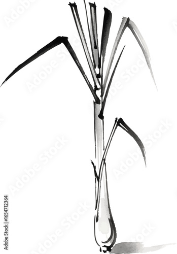 A Single Stalk of Lemongrass