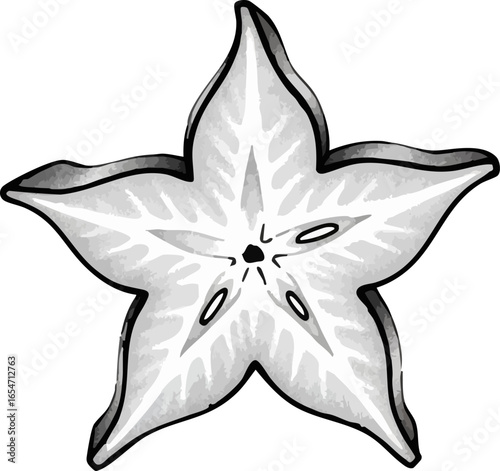 A Sliced Starfruit (Carambola)