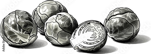 A Still Life of Brussels Sprouts