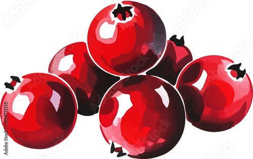 A Still Life of Fresh Cranberries